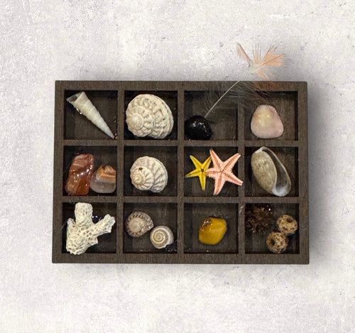 Mini Curio Shelf