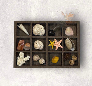 Mini Curio Shelf