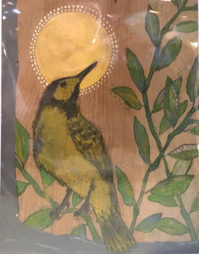 Grey hooded warbler