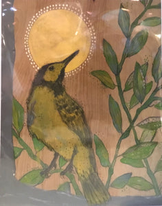 Grey hooded warbler
