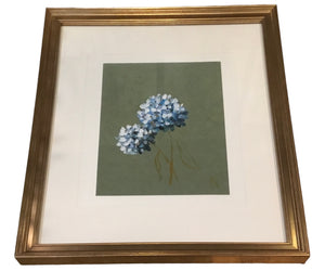 Hydrangeas matted W/ gold frame II