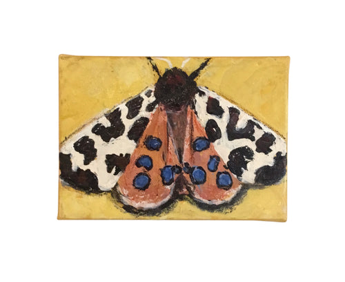 Moth on Gold