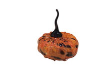 Black and red mix pumpkin