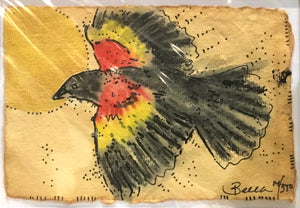 Red winged black bird