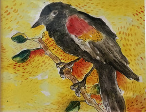 Red winged black bird sunrise