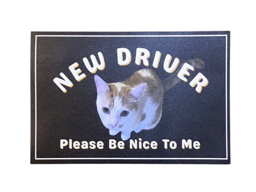 New Driver - Please Be Nice To Me Car Magnet