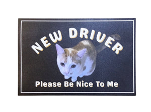 New Driver - Please Be Nice To Me Car Magnet