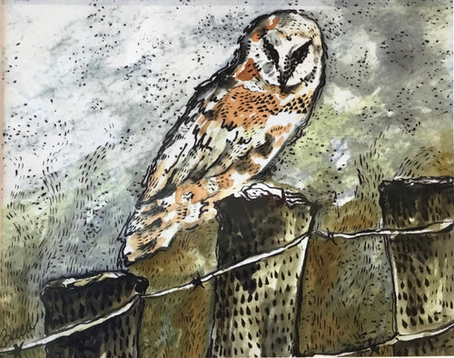 Barn Owl Foggy Morning