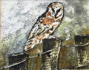 Barn Owl Foggy Morning