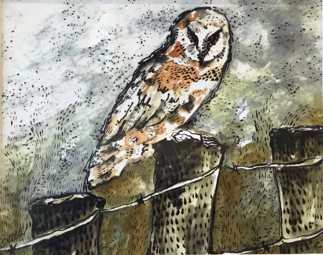 Barn Owl Foggy Morning