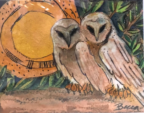Barn owl glow