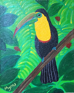 Francisco the cheerful toucan