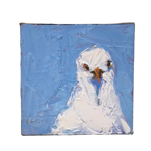 Gull Portrait