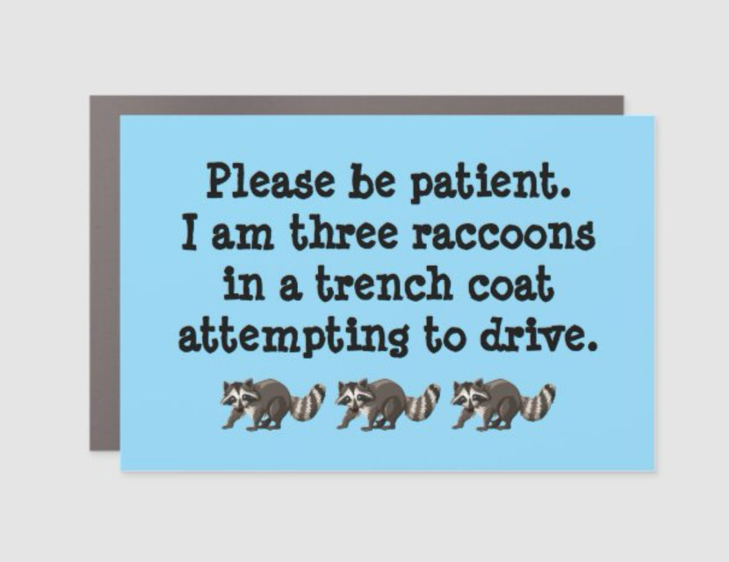 Please Be Patient I Am Three Raccoons
