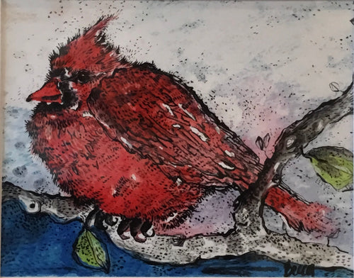 Cardinal winter morning