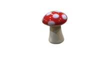 Large or Carved Toadstool