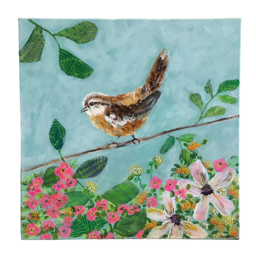 Brown Thrasher