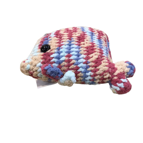 Angel Fish - Multicolored