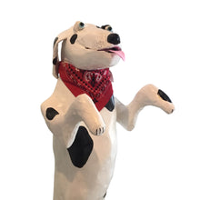 Happy - The Big Dog