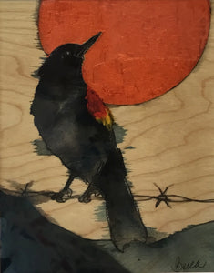 Red winged black bird copper moon
