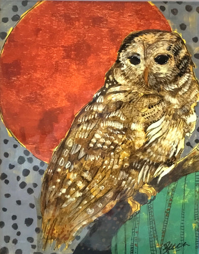 Barred owl copper moon