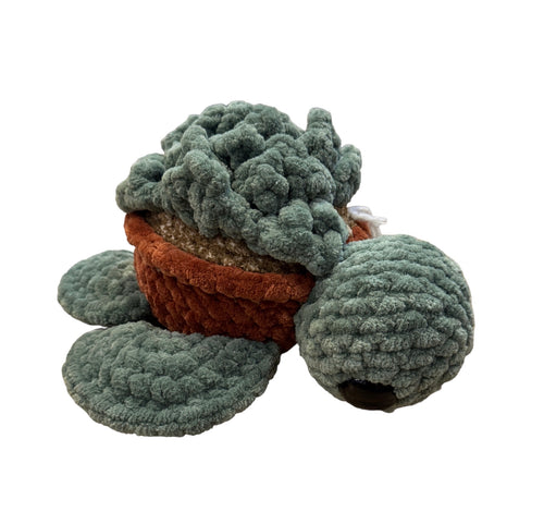 Jumbo Succulent Turtle