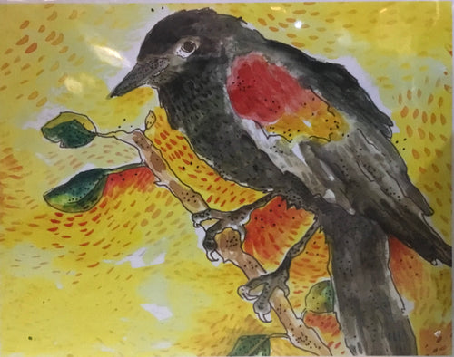 Red winged black birds