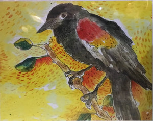 Red winged black birds