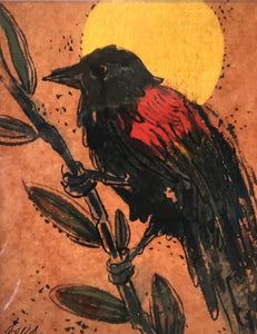 Red winged black bird gold moon