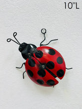 Lady Bugs
