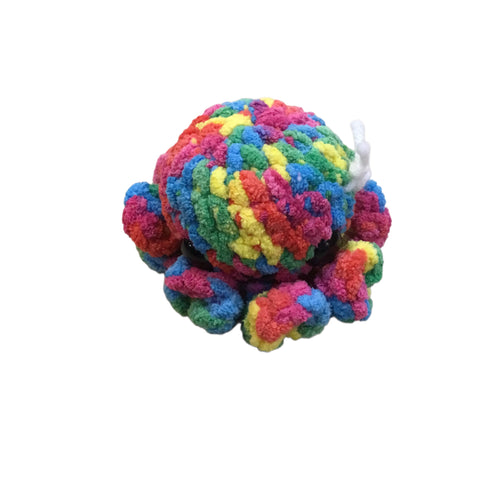 Octopus-Rainbow