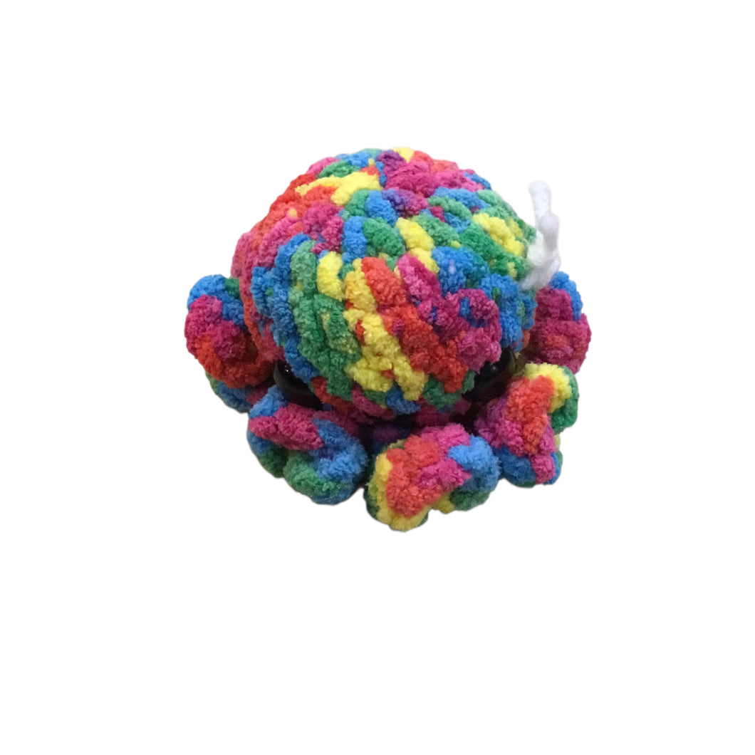 Octopus-Rainbow