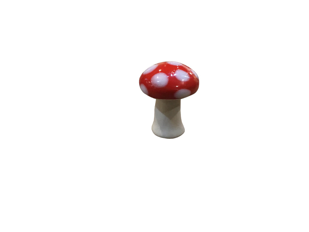 Tiny Toadstool