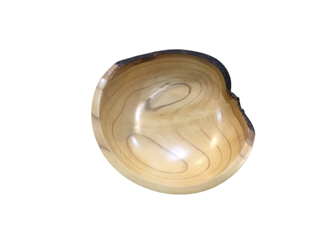 337 Small Dish Magnolia