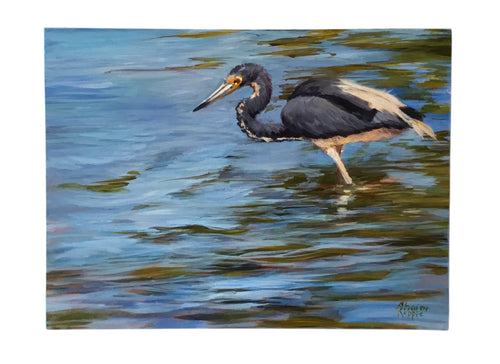 Tri Colored Heron II