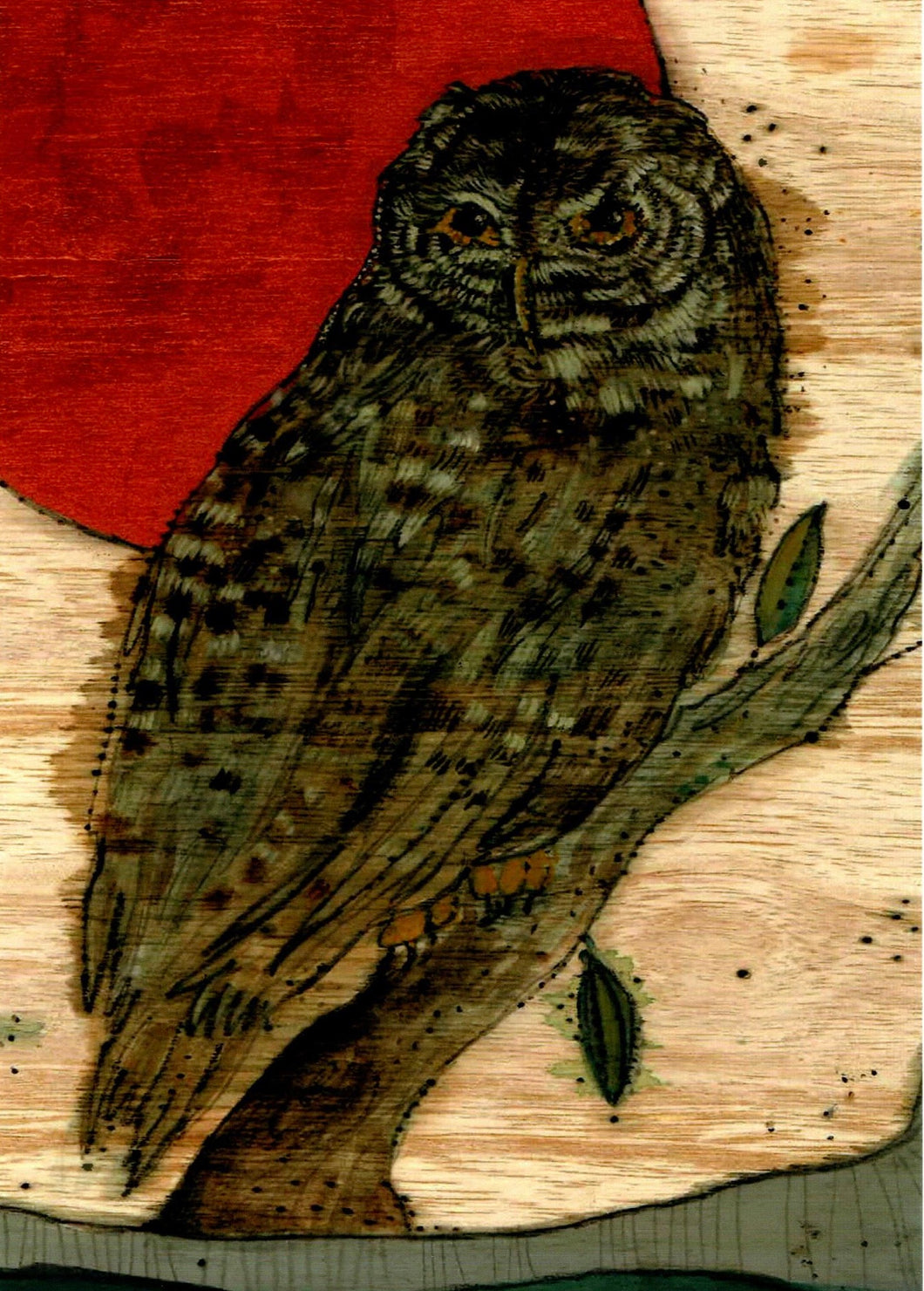 Sun Owl