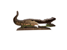 Alligator