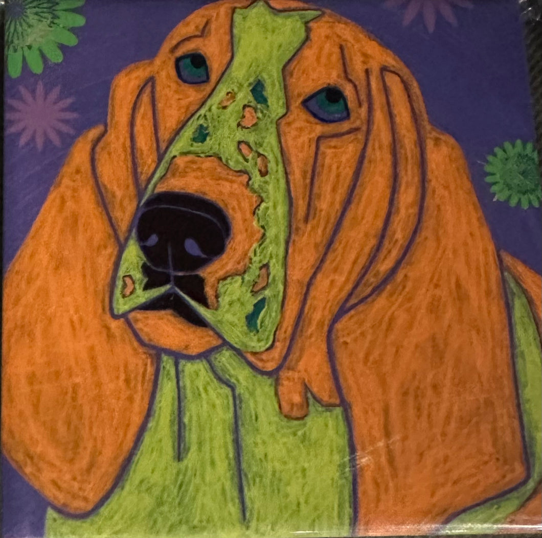 Basset Hound on Purple Coaster