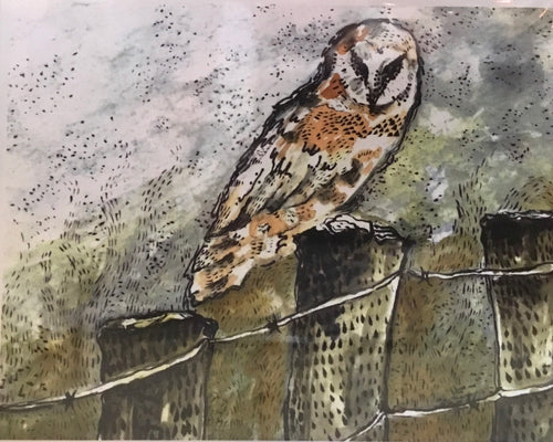 Foggy mountain barn owl