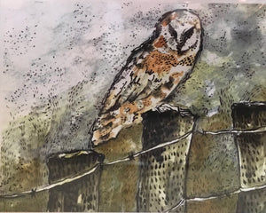 Foggy mountain barn owl