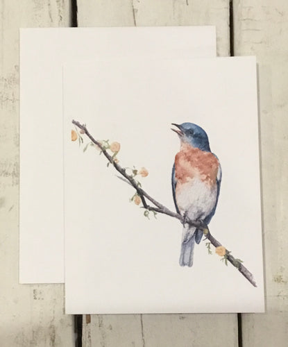Bluebird on Branch Greeting Card