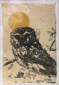 Burrowing owl gold moon