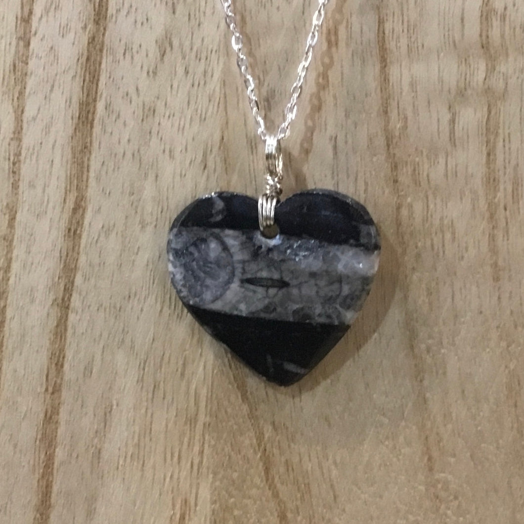 Orthoceras Fossil Heart Pendant