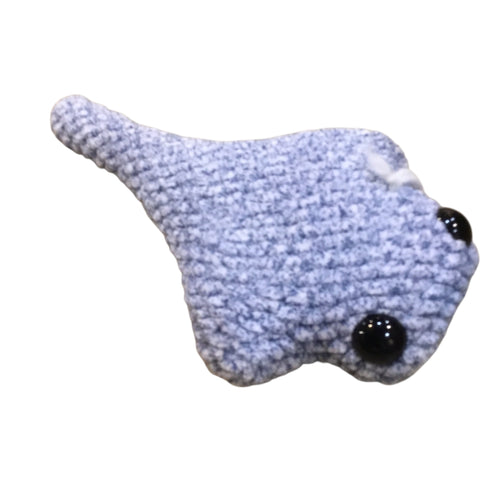 Stingray -Blue