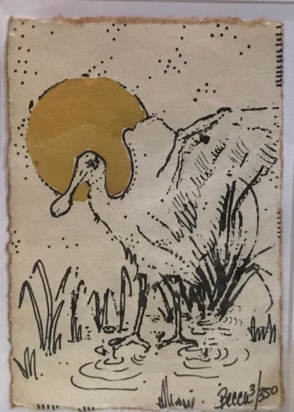 Roseate spoon bill gold moon
