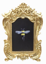 Bees in Gold Frames