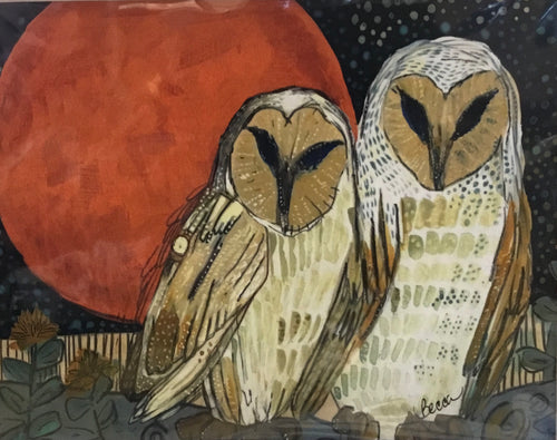 Barn owl night