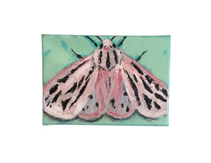 Moth on Aqua