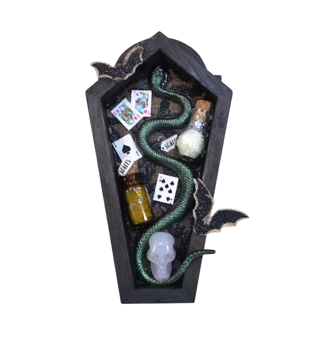 Coffin Curio Shelf -Snake & Skull