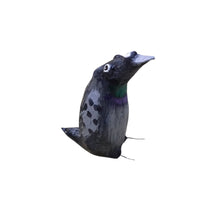 City Pigeon
